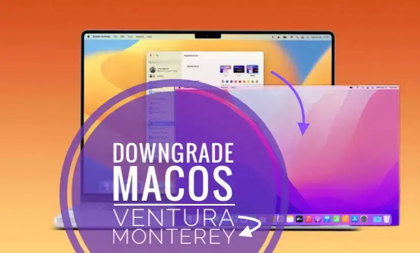 понизить версию macOS Ventura до Monterey