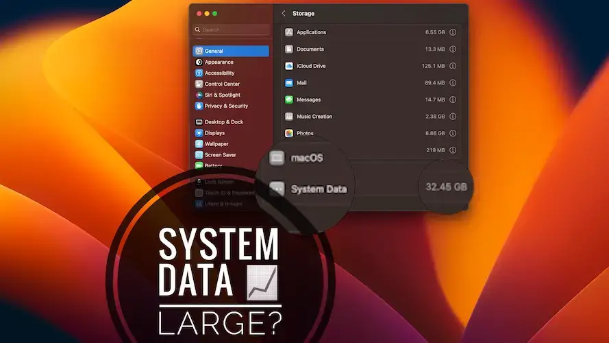 Системные данные Mac большие