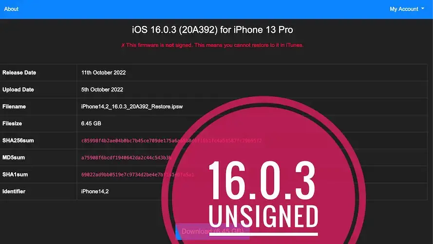 iOS 16.0.3 не подписан