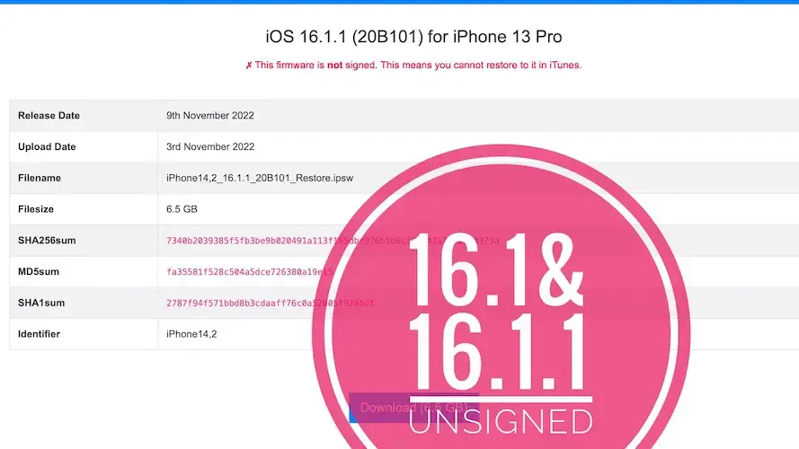 iOS 16.1.1 без подписи