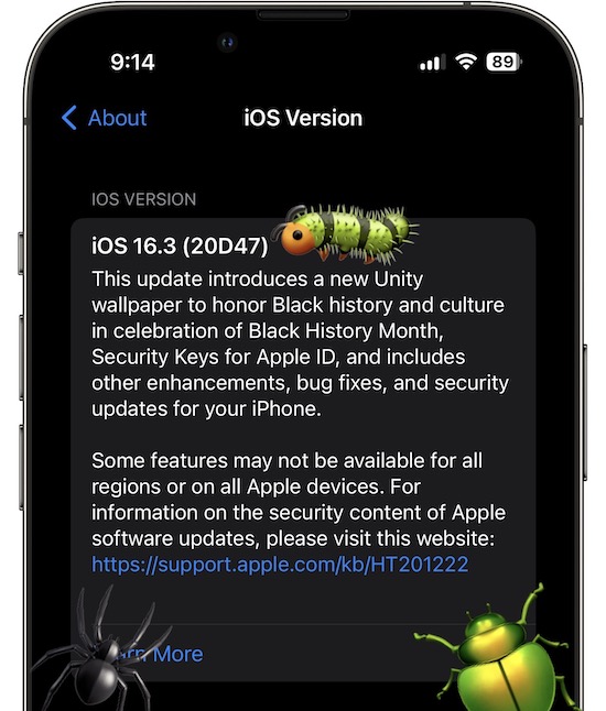 Ошибки iOS 16.3