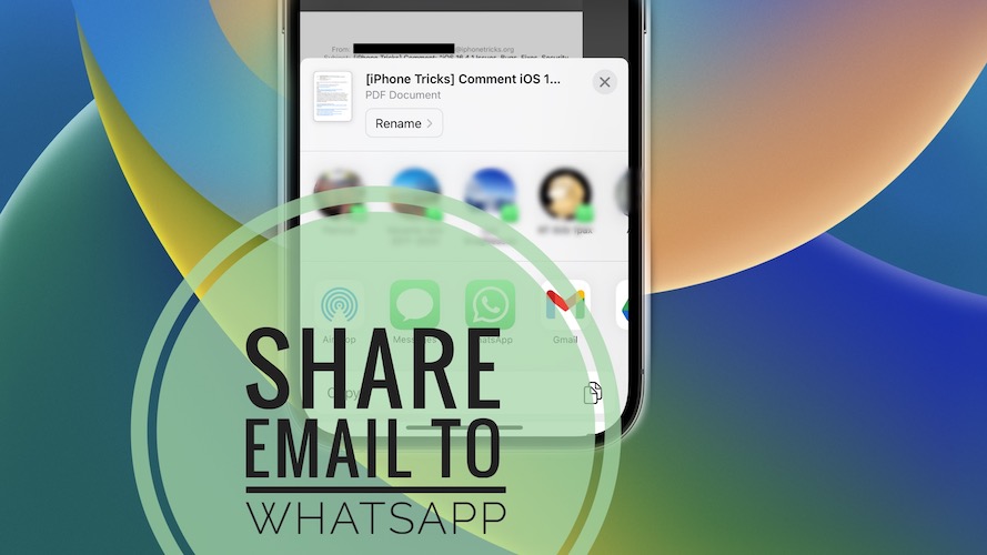 поделиться электронной почтой в WhatsApp на iPhone