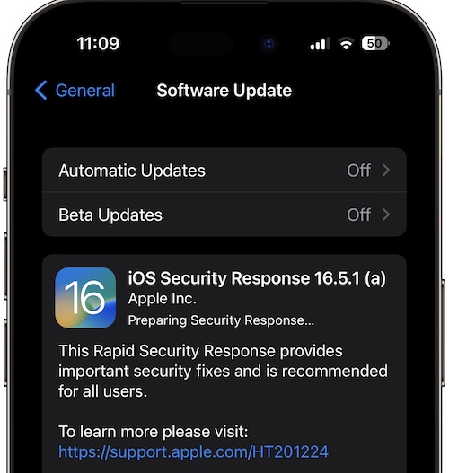 ios 16.5.1a preparing security response