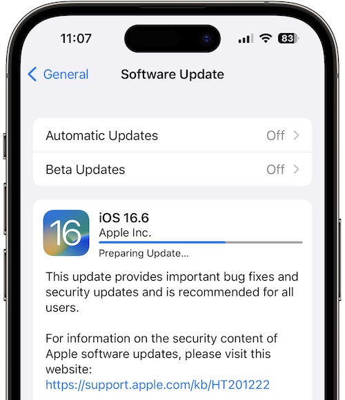 ios 16.6 download