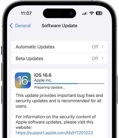 ios 16.6 скачать