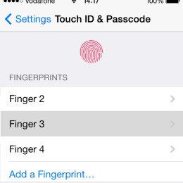 fingerprint recognition