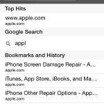 safari private mode search history