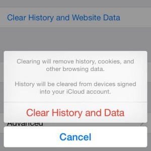 clear safari history and website data