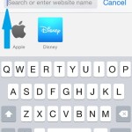 search for text on safari page