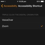 apple watch accessibility shortcut setup