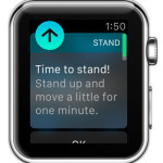 apple watch time to stand alert