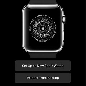 restore apple watch backup
