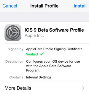 скачать ios beta software profile