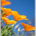 3d touch sensitivity test