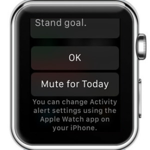 apple watch mute for today feature