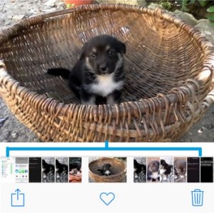 ios 9 photos scrubber