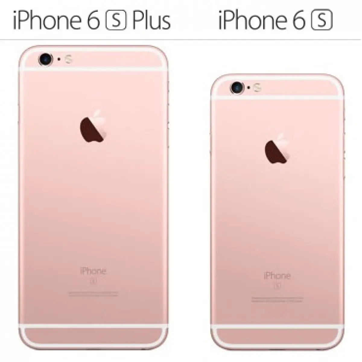 Væk Il At sige sandheden iPhone 6S or iPhone 6S Plus? Pros and Cons!