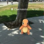 catching chamander pokemon go