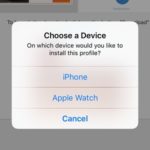 downloading watchos 3 developer beta profile