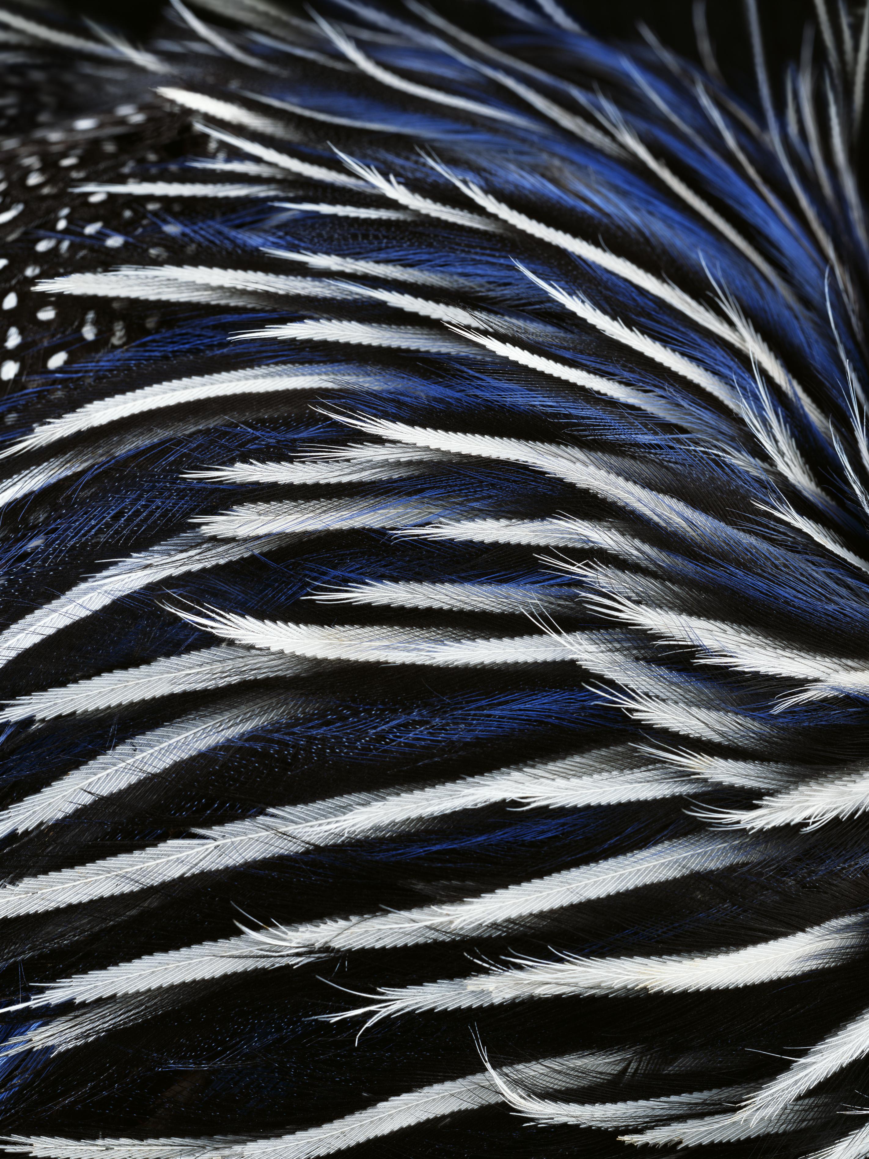 Download 11 Stunning IOS Wallpapers Available On Apple Store Demo