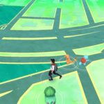 hunting the first pokemon