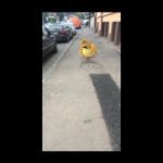 ios messages low-quality image mode on