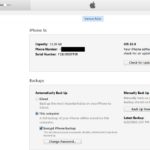 itunes restore backup option