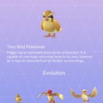 tiny bird pokemon