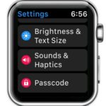 watchos 3 sounds & haptics settings