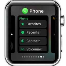 apple watch dock feature