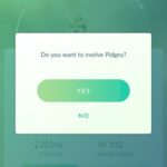 confirm pokemon evolution option