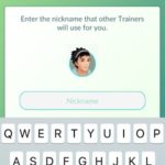 enter new pokemon go nickname