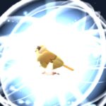 evolving pidgey pokemon