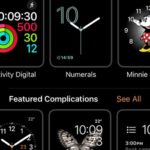 face gallery tab in apple watch app