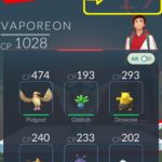 pokemon go nickname displayed in gym