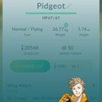 spark appraising pidgeot