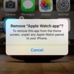 apple watch app removal warning