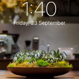 iPhone 7 Wide Gamut wallpaper.