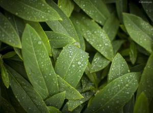 Water droplets wide gamut image.