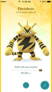 5 pokemon buddy with halloween incentive