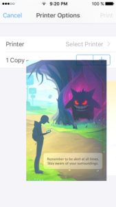 pinching image to open PDF Viewer