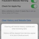 clear Safari history and website data