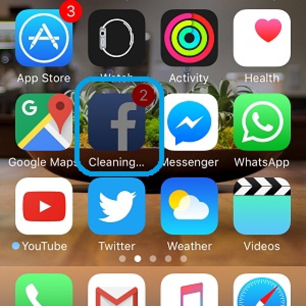Cleaner