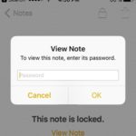 type password to unlock note