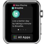 apple watch dock all apps button