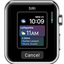 apple watch siri watch face