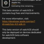 downloading watchos 4 developer beta to apple watch