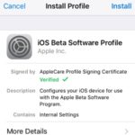 ios 11 beta profile install screen