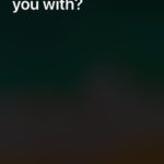 ios 11 type to siri screen