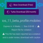 third party iOS 11 Beta Profile download